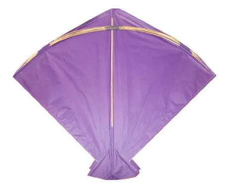 Purple Playing Paper Kite at Rs 2.20/piece | कागज़ की पतंग in Jaipur ...