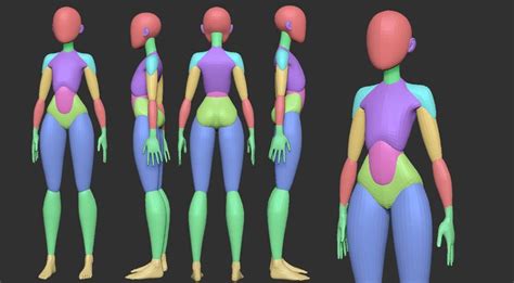 Free Stylized Anime Primitive Anatomy | Stylized, Female anatomy ...