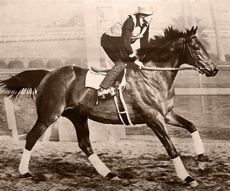 26 best images about War admiral on Pinterest | Racing, Horse racing ...