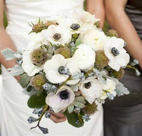 Scabiosa Pods Archives - Bouquet Bouquet