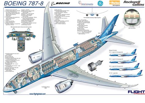 Boeing 787-8 Micro Cutaway Poster | Boeing 787 8, Aircraft interiors ...