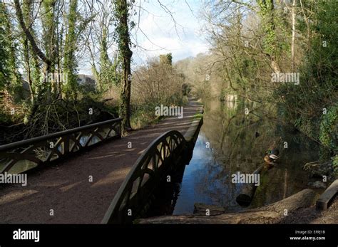 Glamorgan Canal Nature Reserve, Whitchurch Cardiff, South Wales, UK ...