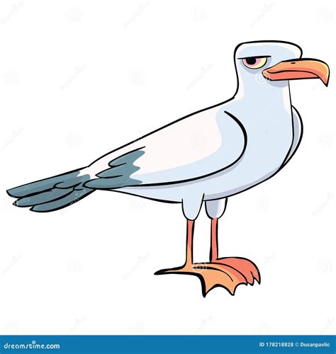 Seagull Vector Illustration | CartoonDealer.com #7783604