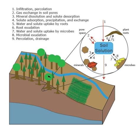 Soil Water: From Molecular Structure to Behavior | Learn Science at ...