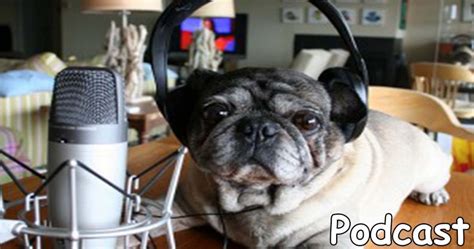 Funny Podcasts - Comedy and Humor