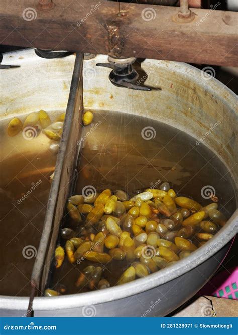 Seam Reap Province, Cocoons, Craft Industry, Silk Work, Silkworms ...