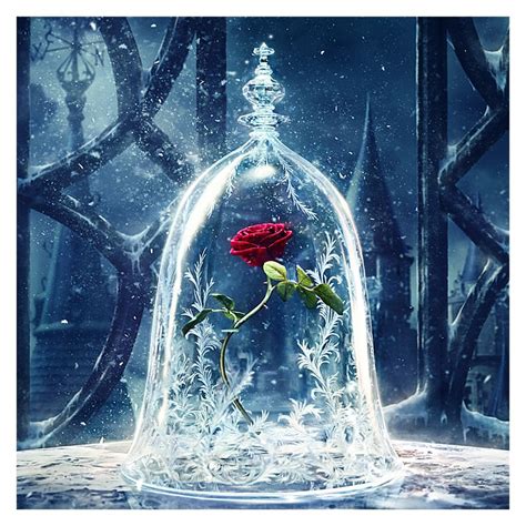 Beauty And The Beast Rose Wallpaper - Beauty And The Beast Rose Movie ...