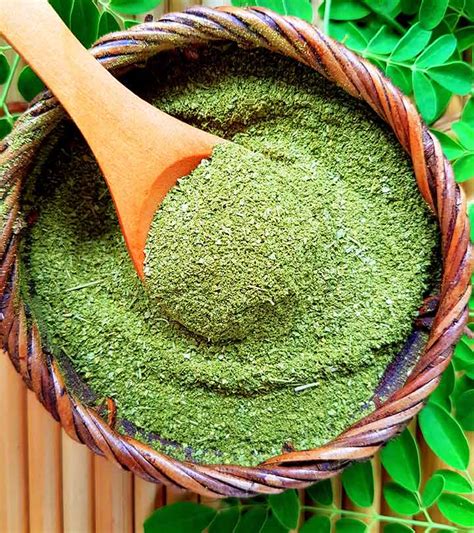 17 Best Benefits and Uses Of Moringa Powder