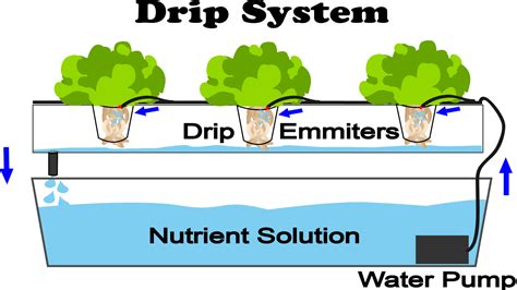 What Is Drip Hydroponics? - NoSoilSolutions