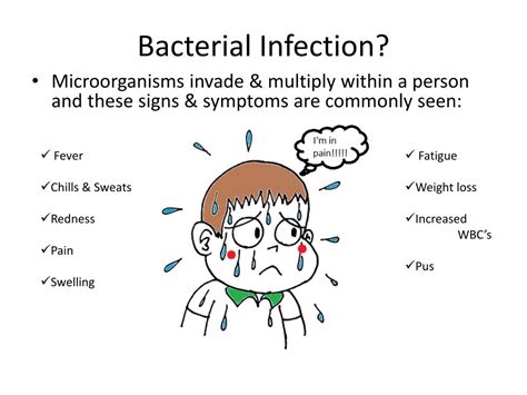 PPT - Antibiotics – Part 1: Chapter 38 PowerPoint Presentation, free ...