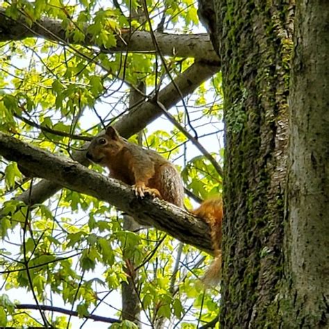 Fort Benjamin Harrison State Park - Schoen Creek Trail - Lawrence, IN