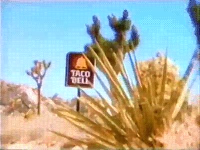 taco bell gifs | WiffleGif