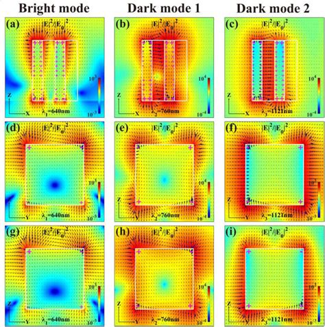 Electric field intensity (in color) and vector (in arrows) maps of the ...