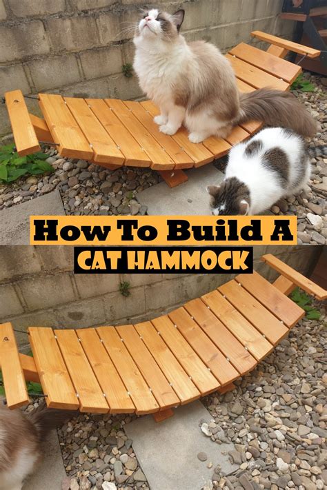 15 Brilliant DIY Cat Hammock Ideas - DIYsCraftsy