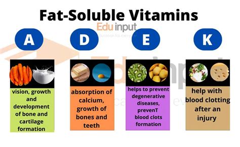 What are Fat-Soluble Vitamins? Types, Sources and Functions