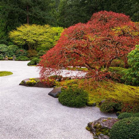 How To Make a Japanese Zen Garden In Your Backyard - Gardening @ From ...