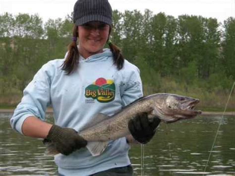 North Saskatchewan River Fishing Goldeye Sturgeon Walleye - YouTube