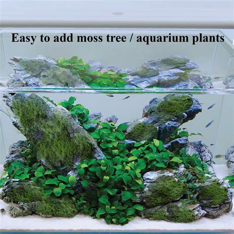 Aquarium Rocks Set Aquascape Decor Natural Stone Fish Tank - Etsy