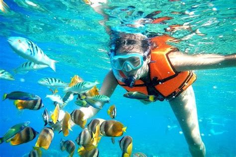 Cancun Snorkeling Tour from Grand Oasis Palm All Inclusive | Cancun ...