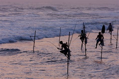 Still Fishing Sri Lanka The Real World, Wooden Doors, Sri Lanka ...