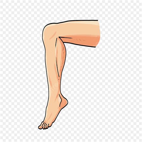 Leg Muscles Clipart Transparent PNG Hd, Cartoon Muscle Leg Clipart, Leg ...