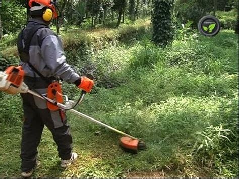 Weed Cutter or Power Weeder or Brush Cutter - YouTube