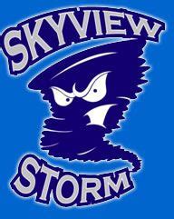 Skyview High School Storm | Character, High school, Kids