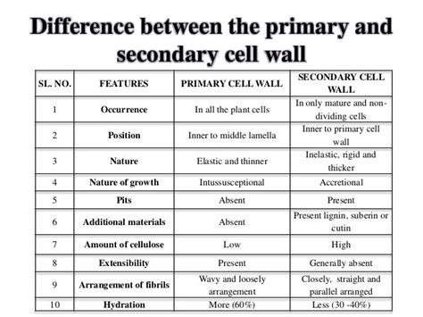 Primary and secondary cell wall