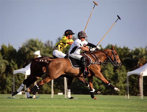 World Polo League