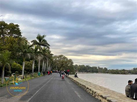 Sukhna Lake Chandigarh - Chandigarh Safari