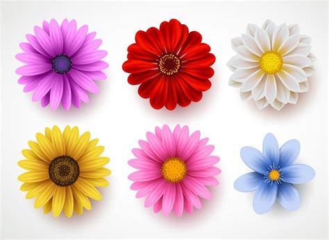 Exploring Flower Types for Kids: Colors, Names, and Learning