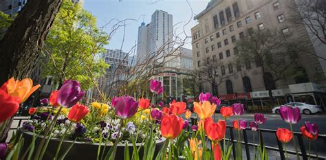 Chicago Guide to Magnificent Mile Shopping, Restaurants & Events