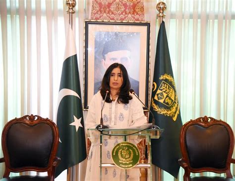 Pakistan endorses OIC statement condemning Israeli military aggression ...