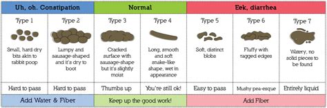 Cat Stool Chart