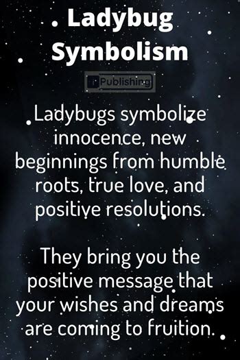 What Does It Mean When You See A Ladybug - Spiritual Symbolism