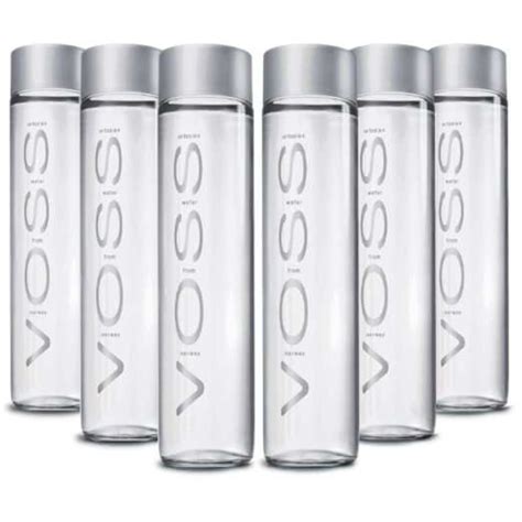 Voss Water Bottle · Mr Water Geek