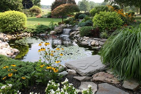 Building a Frog-Friendly Pond