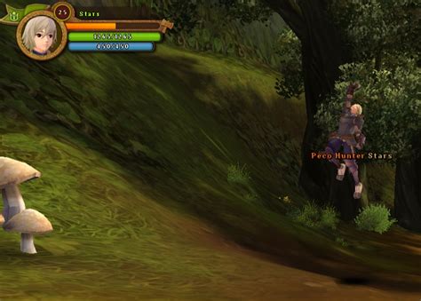 My Ragnarok Online 2 Game: Payon Forest