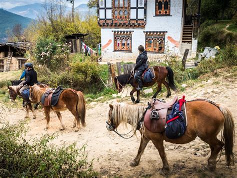 Hiking the Himalayas: What to Know Before You Go | Condé Nast Traveler