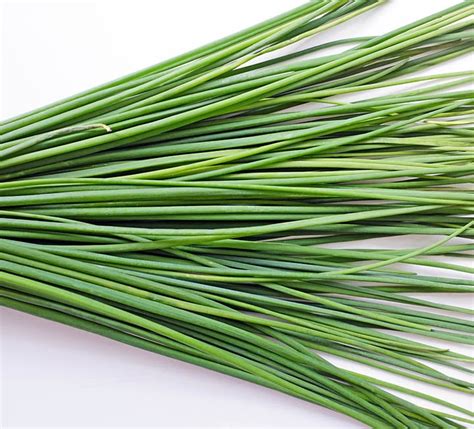 The herb guide: chives | Borough Market