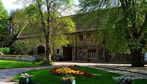 "King's School, Ely, Cambridgeshire" by Igor Pozdnyakov | Redbubble