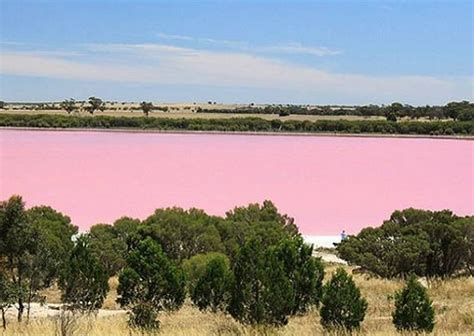 Lake Retba in Senegal: A Marvel of Nature's Pink Wonder | World Famous ...