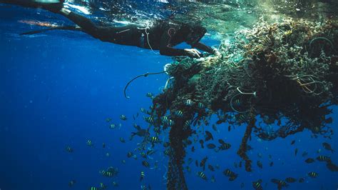 The Ocean’s Biggest Garbage Pile Is Full of Floating Life - The New ...