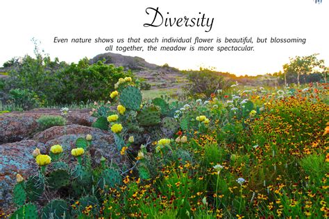 Diversity - Even Nature Shows Us | Nature, Natural landmarks, The meadows