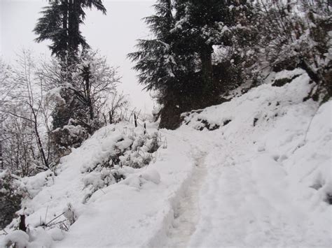 Manali Bookings: Fresh snowfall in Manali