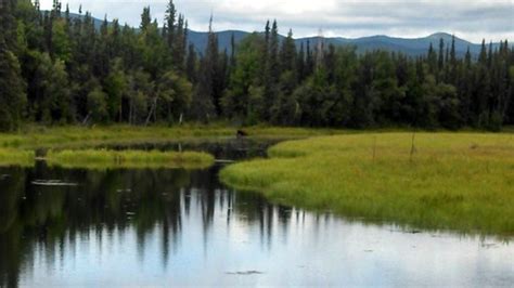 Chena River State Recreation Area (Fairbanks): UPDATED 2020 All You ...