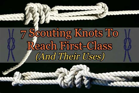 How To Tie The Required Scouting Knots (With Practical Uses)