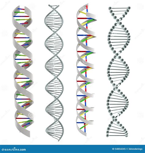 Dna Helixes stock illustration. Illustration of acid - 54854245