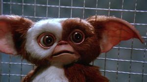 Gremlins 2 Hero Animatronic Gizmo Movie Prop - The Gremlins Museum