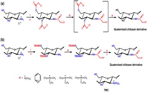 IJMS | Free Full-Text | Antimicrobial Activity of Chitosan Derivatives ...